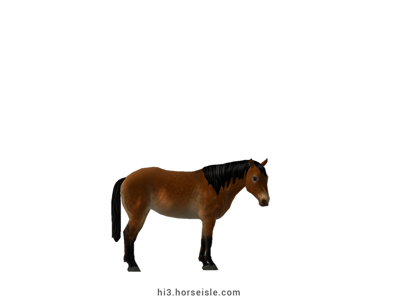 Skyros Pony Shaded Linebacked Bright Wild Bay Coat (normal view)